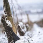 Auteur Grand Cru Burgundy in heart of Snowy Burgundy